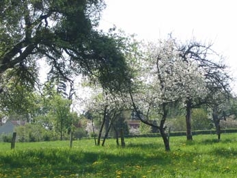 Paturâges - Chaource