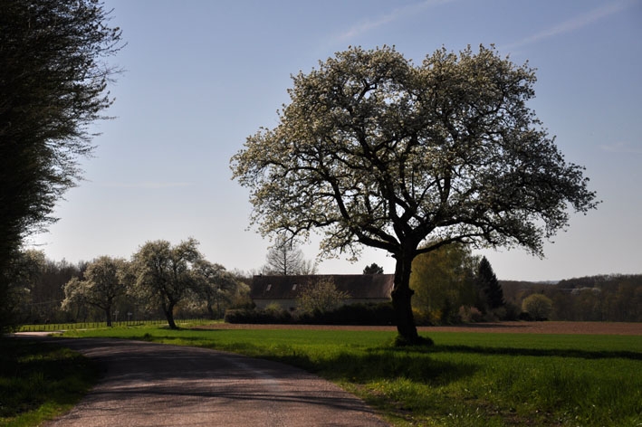 Boudin (Hameau de Courtaoult) - Photo Fabienne Clérin