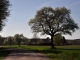 Photo suivante de Courtaoult Boudin (Hameau de Courtaoult) - Photo Fabienne Clérin