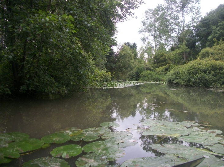 Ruisseau de Faverolles à Crancey