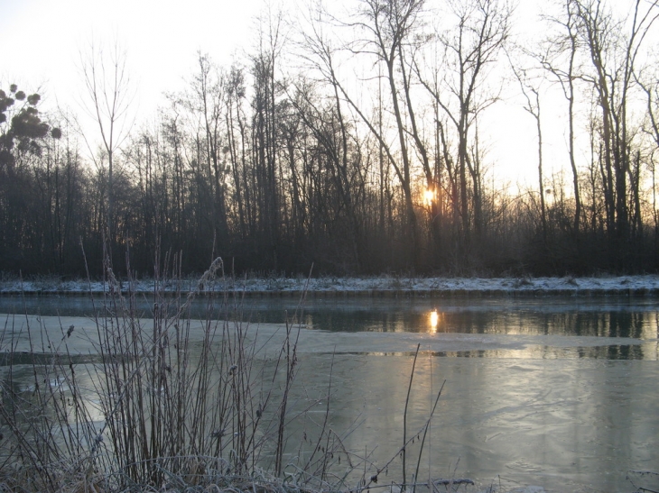 Froid soleil du matin sur le canal - Crancey