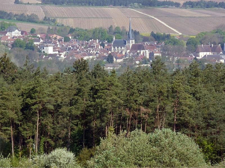 Vue sur Ricey Bas - Les Riceys