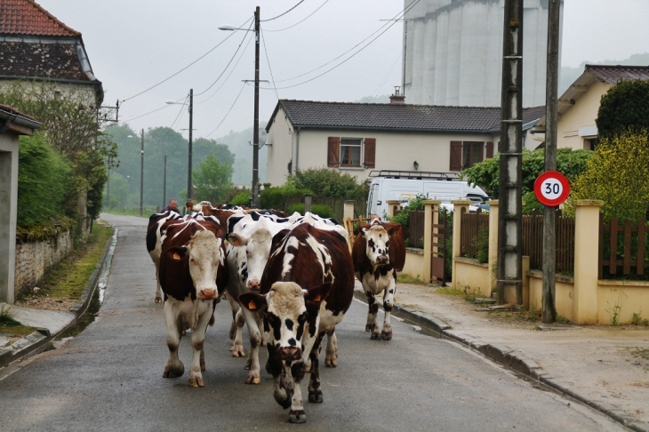 Le Village - Longchamp-sur-Aujon