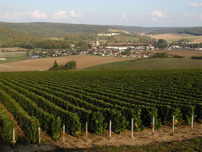 Mussy et son vignoble - Mussy-sur-Seine