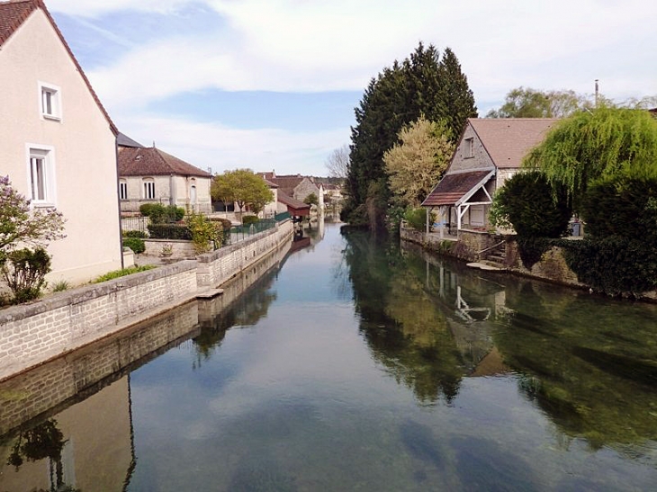 Maisons en bord de Seine - Neuville-sur-Seine