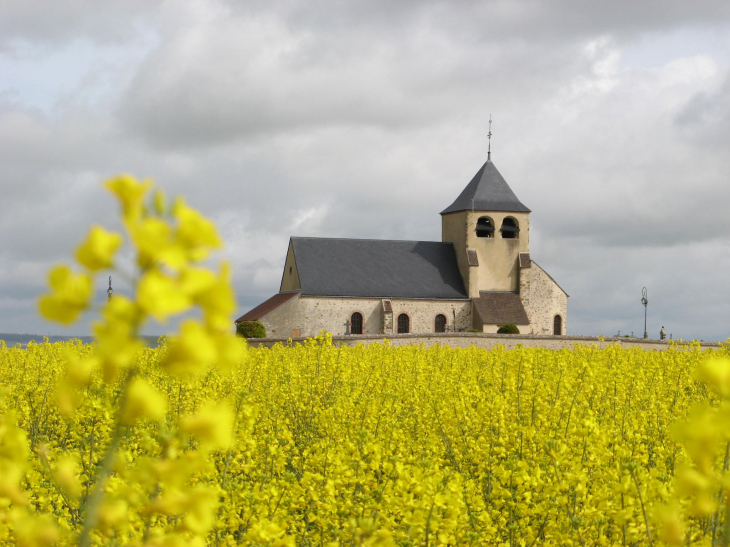 L'église et le colza... - Saint-Hilaire-sous-Romilly