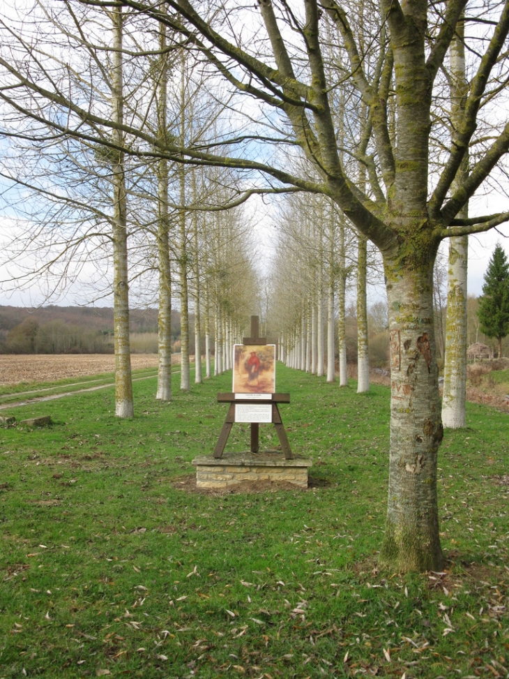 Verpillières, au bord de l'Ource - Verpillières-sur-Ource