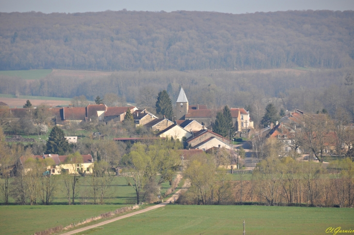 Vue générale - Anrosey