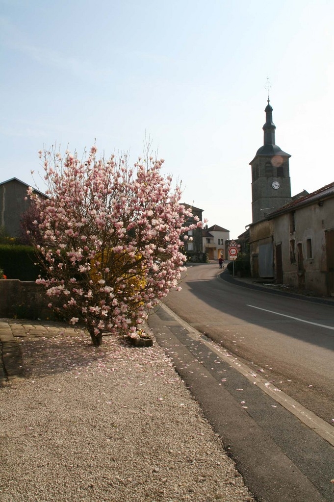 Rue de l'église - Breuvannes-en-Bassigny