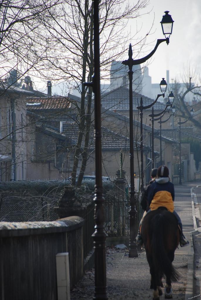 Ballade à cheval - Chamouilley