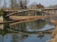 Ses chambres d'hôtes avec un magnfique parc entre Marne et canal , sa faune, flore, calme