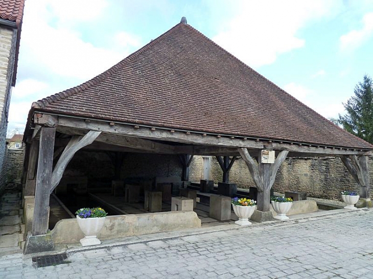 Le lavoir à parquets flottants - Châteauvillain