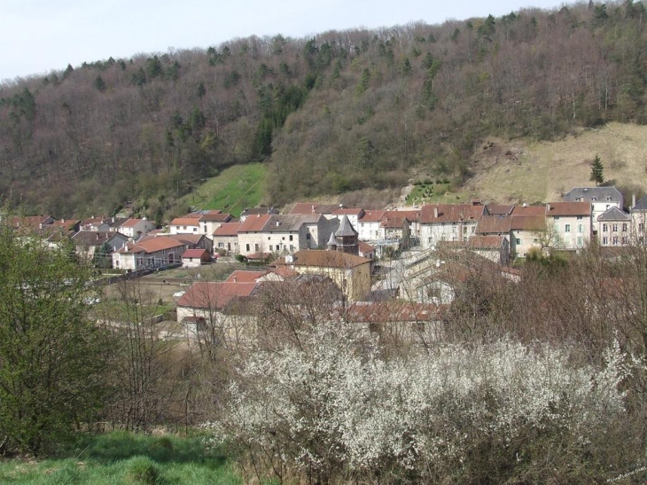 Le chateau et la Mairie vus du Fays - Chevillon