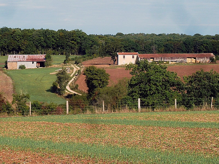 Ferme - Faverolles