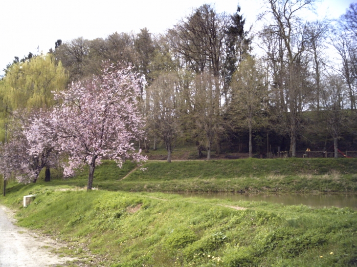 Promenade du Bois Banal - Fayl-Billot