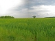 Photo suivante de Fontaines-sur-Marne Le Mehir de la Haute-Borne