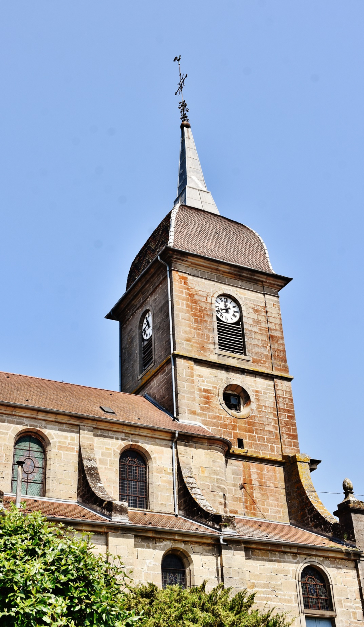 ''église St Julien - Fresnes-sur-Apance