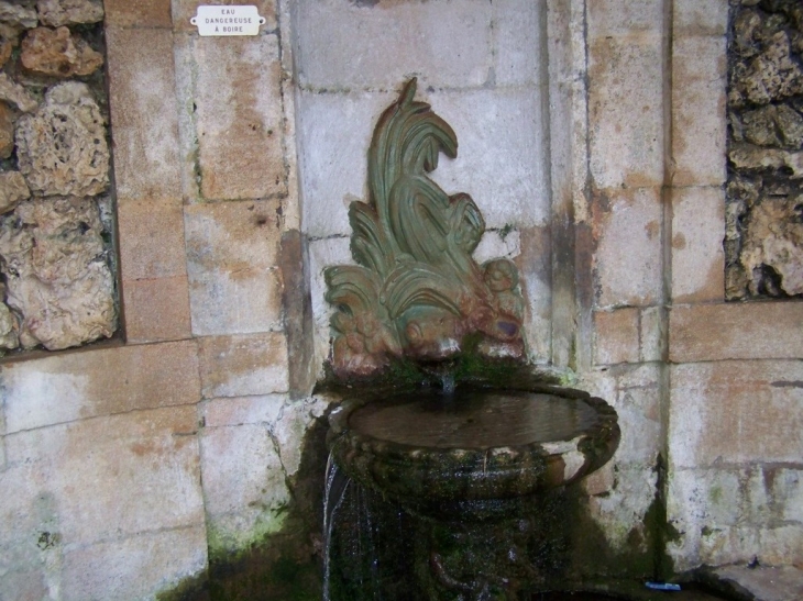 L'eau de la grenouille - Langres