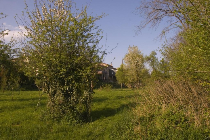 Les bords de Marne, à voir le canal entre Champagne et Bourgogne , Habitants chaleureux,courtoisie et simplicité avec le sourire en plus - Roches-sur-Marne