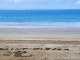 Sur une plage Normande . Les enfants de l'école Diderot en rendu hommage à notre ville Bragarde