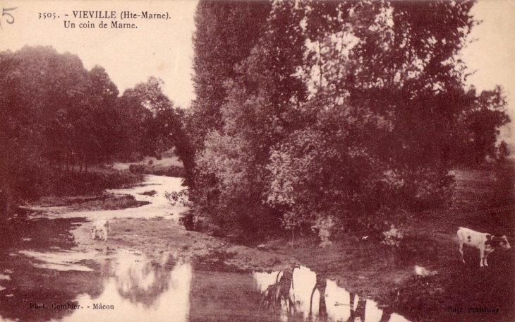 Un coin de Marne - Viéville