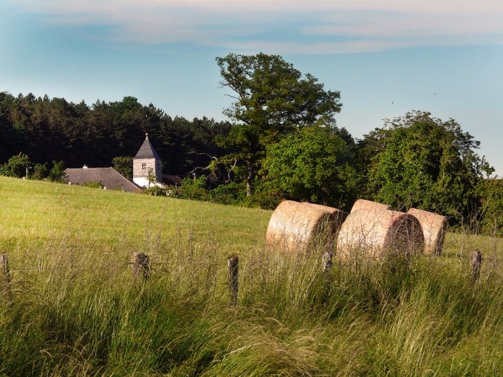 Entre Vignes et Montot - Vignes-la-Côte