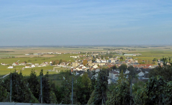 Le village vu des vignes - Avize