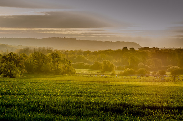 Un matin - Branscourt