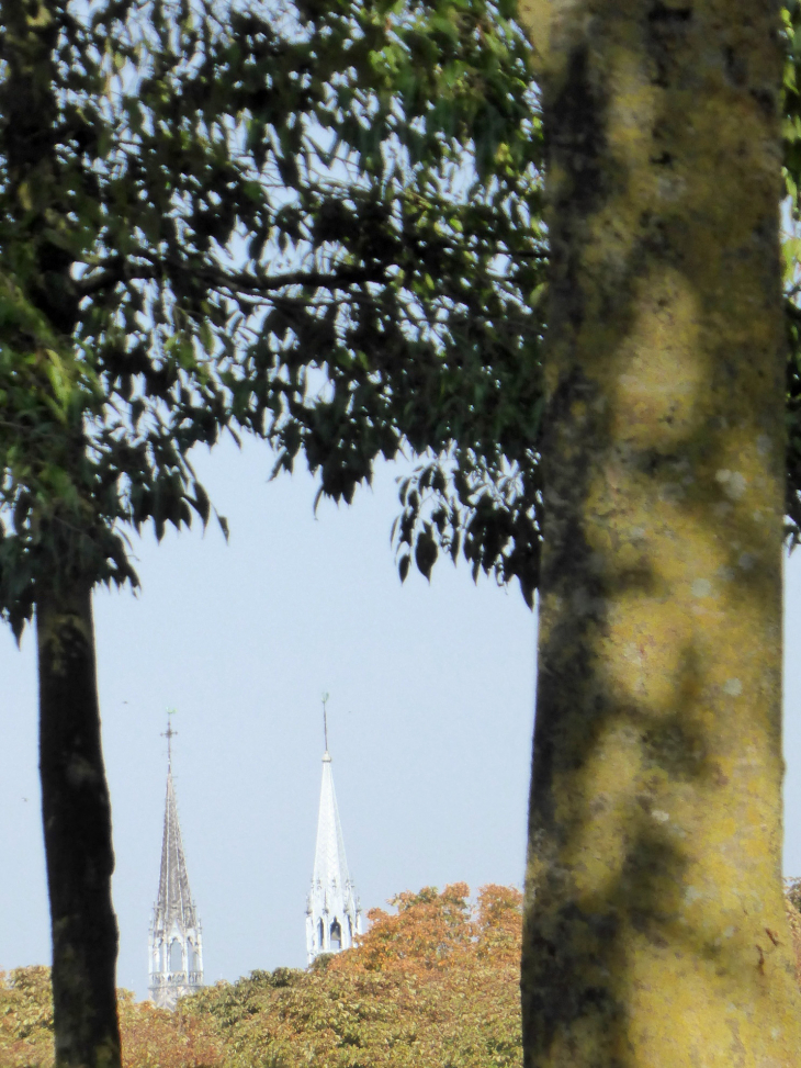 Les clochers de Notre Dame en Vaux vus du Grand Jard - Châlons-en-Champagne