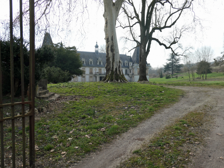 Le château dans son parc - Congy