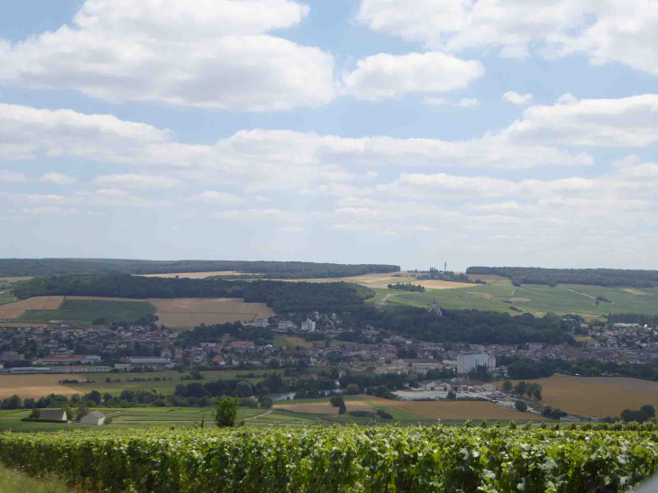 La ville vue des côteaux sur l'autre rive de la Marne - Dormans