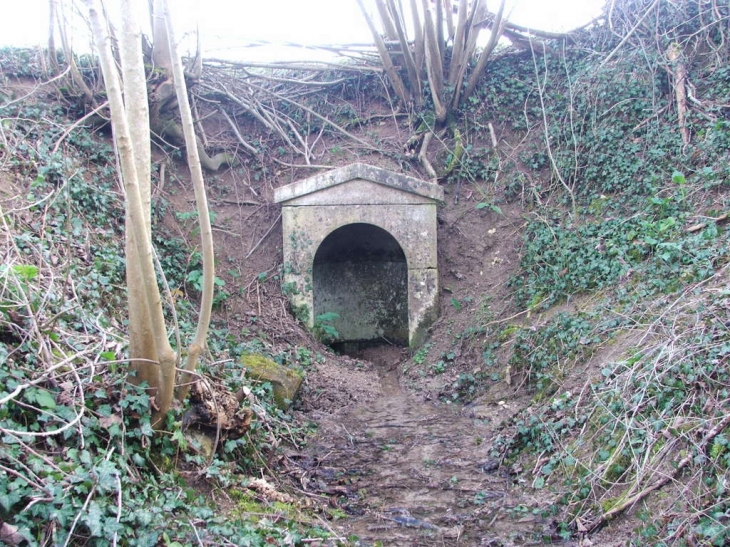 La source de Vamont - Drouilly