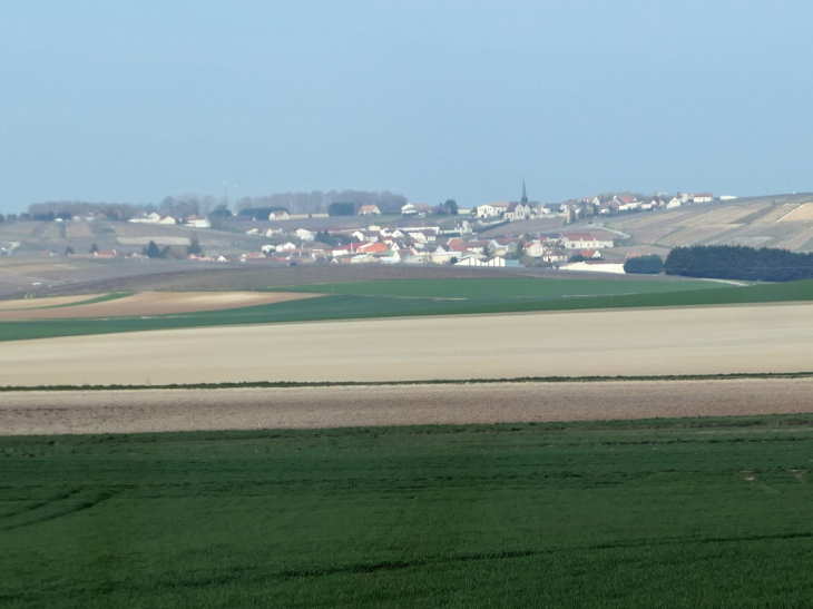 Vue sur le village - Fèrebrianges