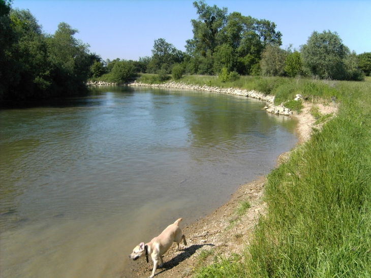 La marne - Frignicourt