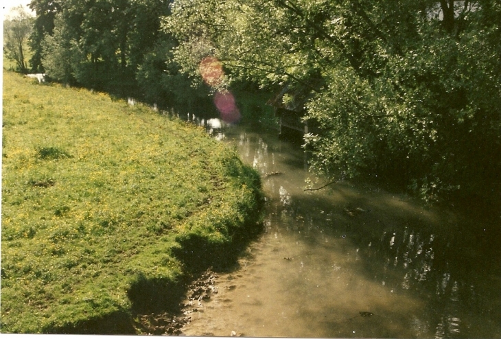 Jeux d'ombre et de lumière sur la Droye - Giffaumont-Champaubert