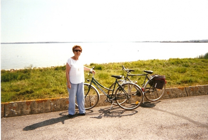 Escapade sur les rives du lac - Giffaumont-Champaubert