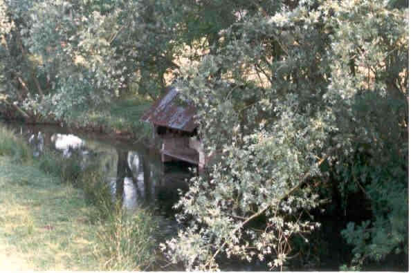 Ancien lavoir abandonné - Giffaumont-Champaubert