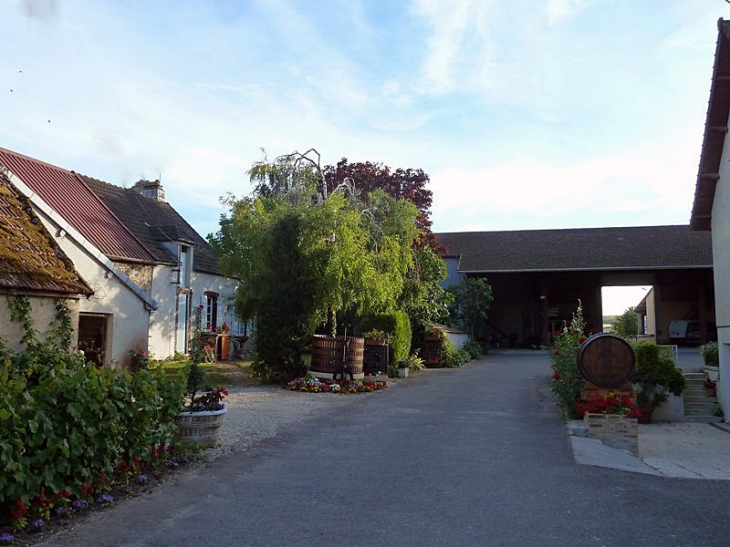 La cour d'une maison de champagne - La Celle-sous-Chantemerle