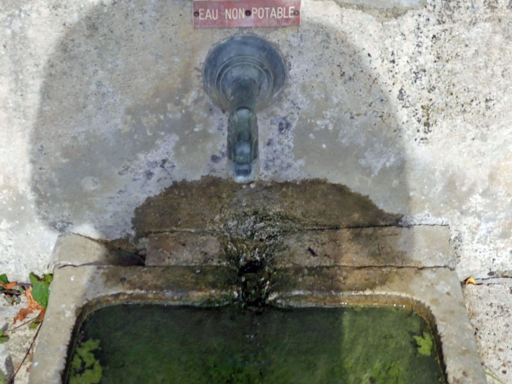 L'ermitage de la  Côte à Vignes : la source - La Neuville-au-Pont