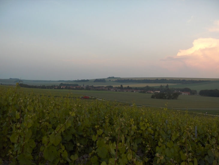 Le village et son vignoble - Lisse-en-Champagne