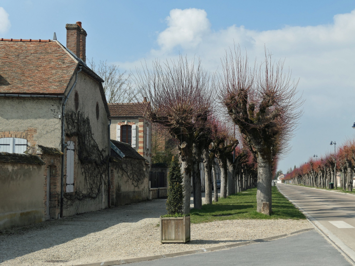 L'avenue des Tilleuls au pied du pont - Marcilly-sur-Seine