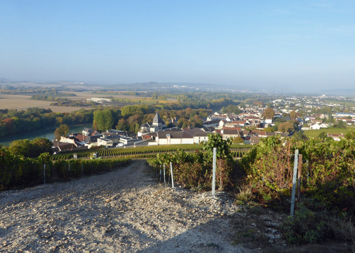 Le village vu du vignoble - Mareuil-sur-Ay