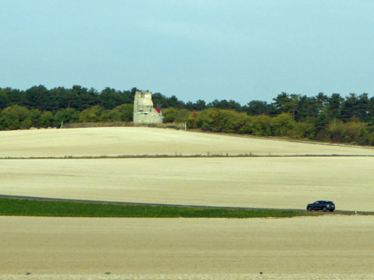 Vue sur le moulin du mont Thibé - Montbré