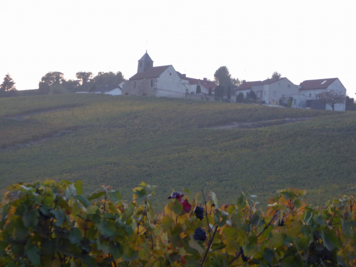 Village du vignoble champenois - Mutigny