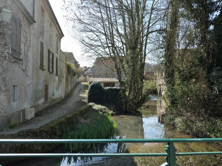 Au bord du ruisseau - Orbais-l'Abbaye