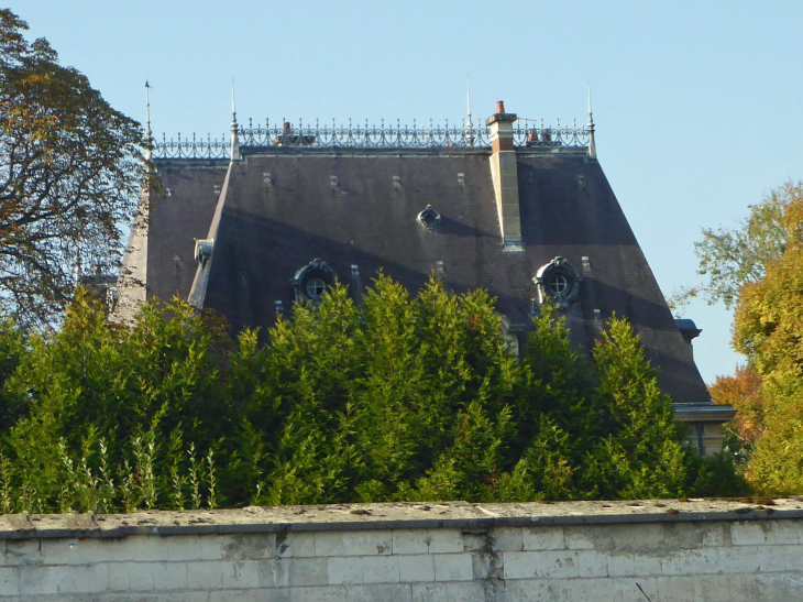 Le toit du château - Pocancy