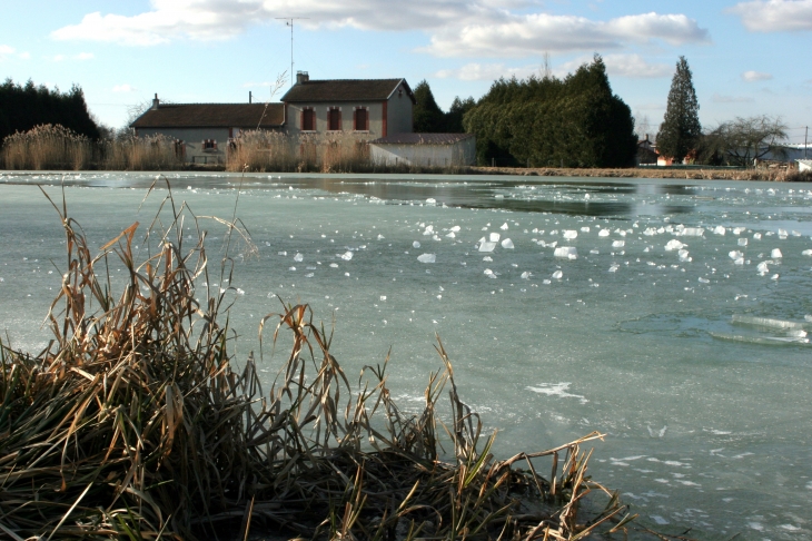Sermaize les Bains. Canal gelé by Jtkfr - Sermaize-les-Bains