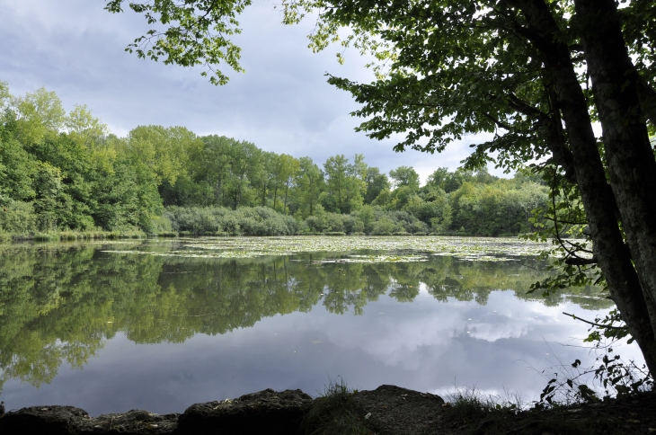 Etang de Morieul - Sermiers