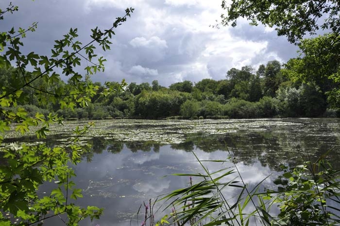 Etang de Morieul - Sermiers