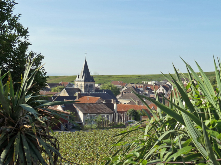 Le village et l'église vu du vignoble - Trépail